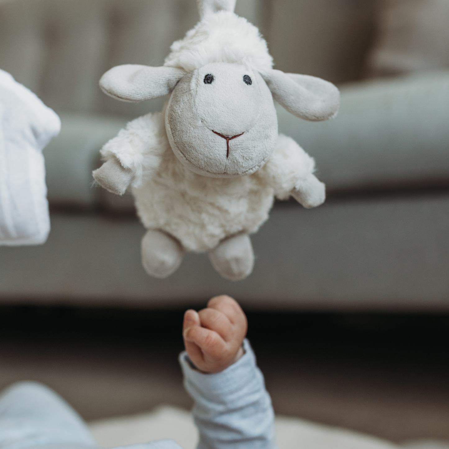 Ewe & Me Baby Play Gym