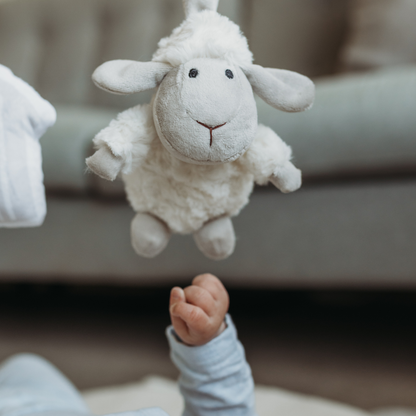 Ewe & Me Baby Play Gym